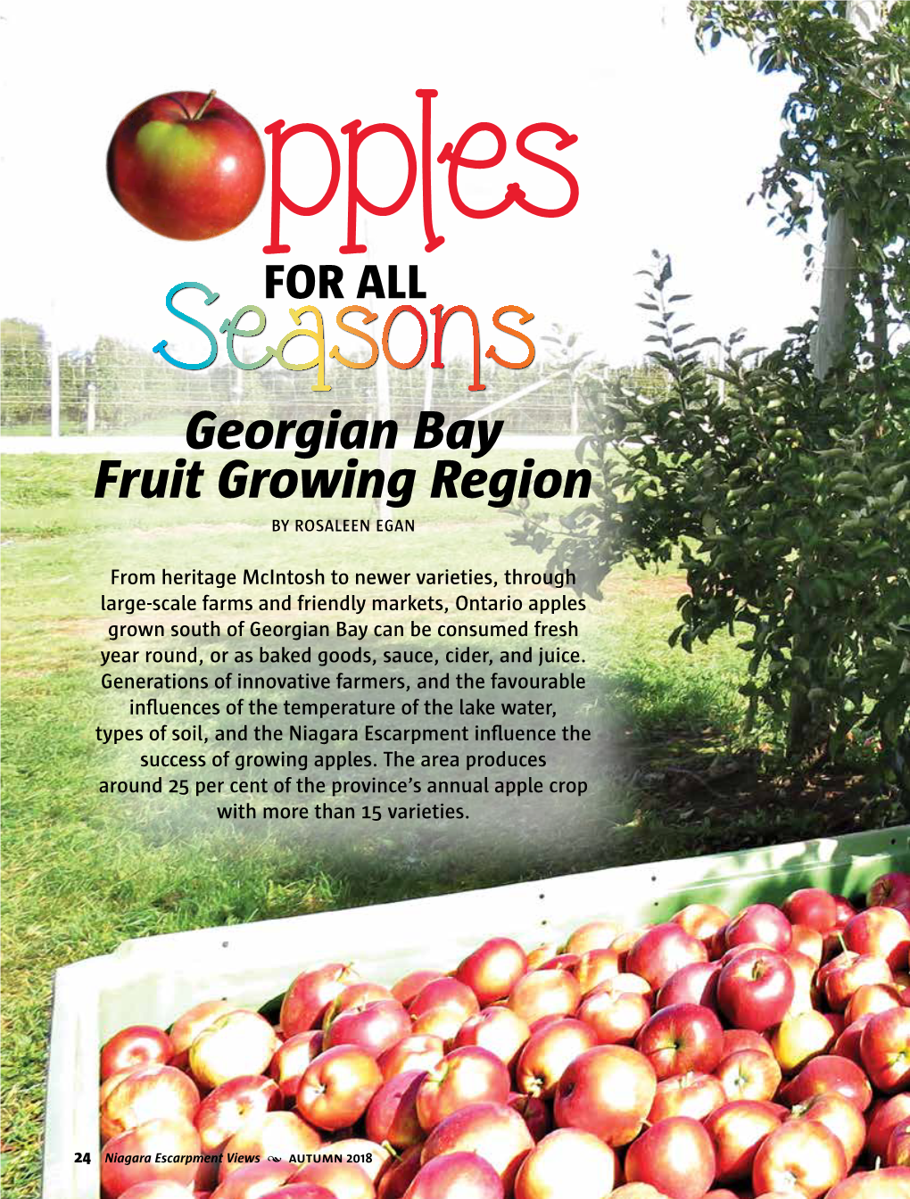 Georgian Bay Fruit Growing Region by ROSALEEN EGAN