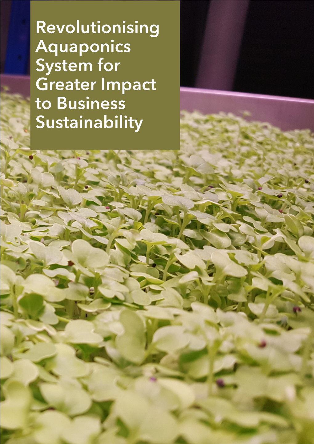 Revolutionising Aquaponics System for Greater Impact to Business