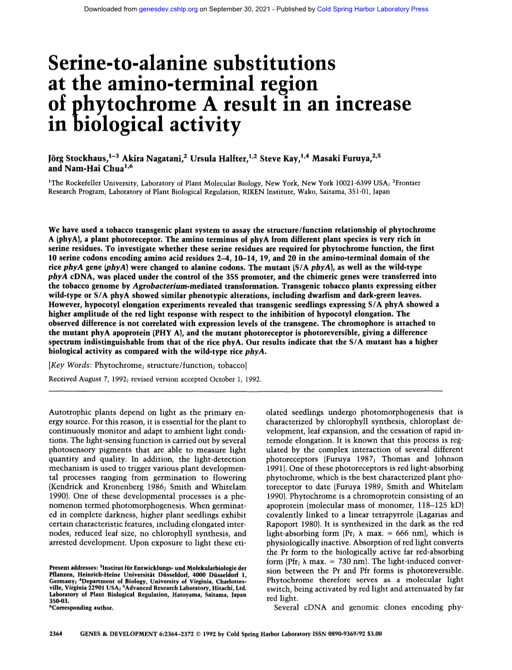 Serine-To-Alanine Substitutions at the Amino-Terminal Region of Phytochrome a Result in an Increase M Biological Activity