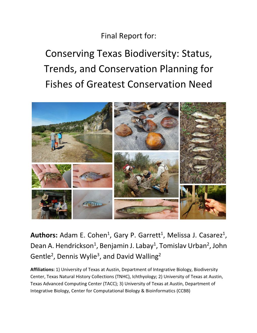 Conserving Texas Biodiversity: Status, Trends, and Conservation Planning for Fishes of Greatest Conservation Need