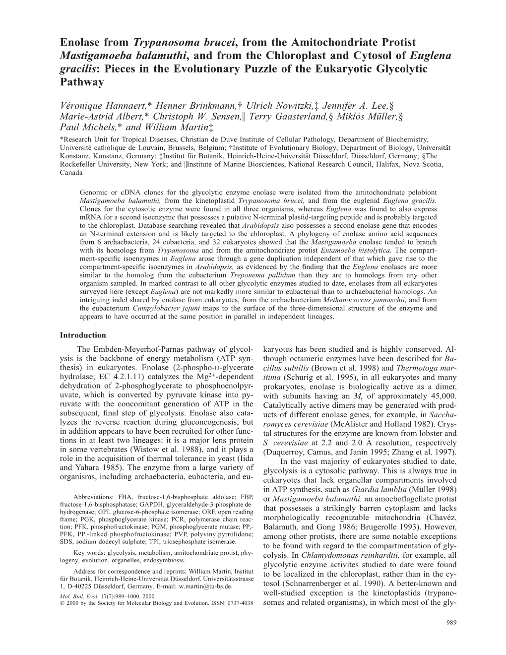 Enolase from Trypanosoma Brucei, from the Amitochondriate Protist