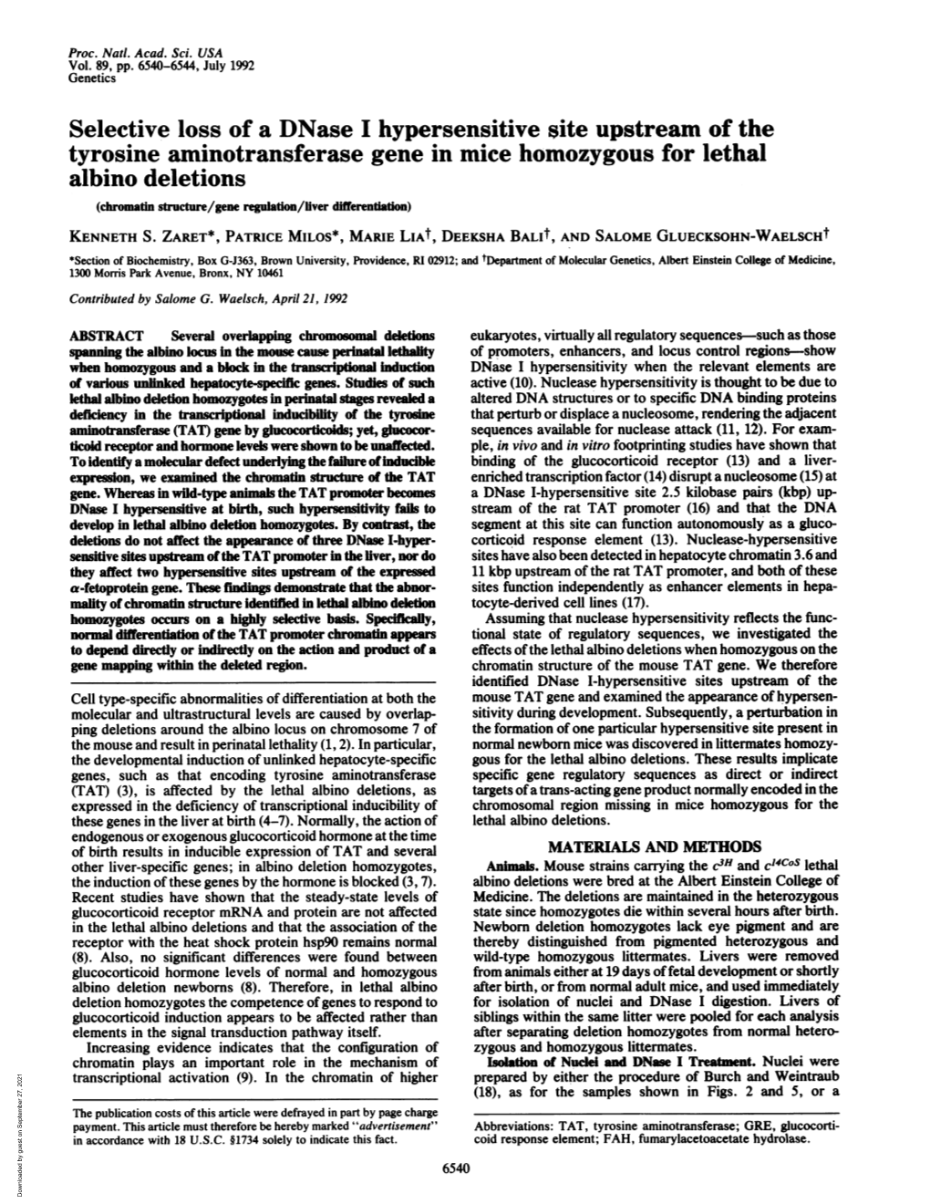 Selective Loss of a Dnase I Hypersensitive Site Upstream of The