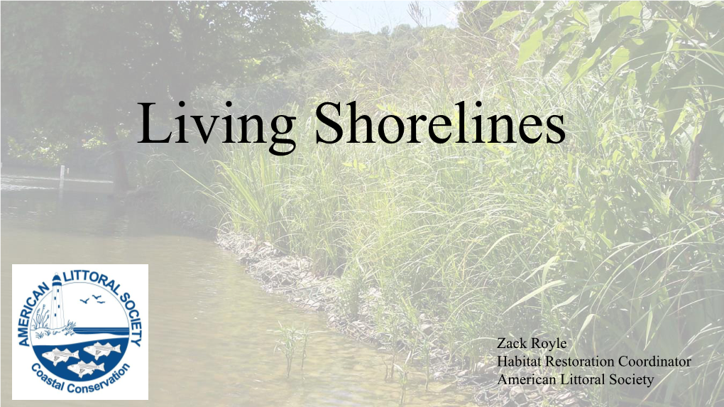 Living Shorelines