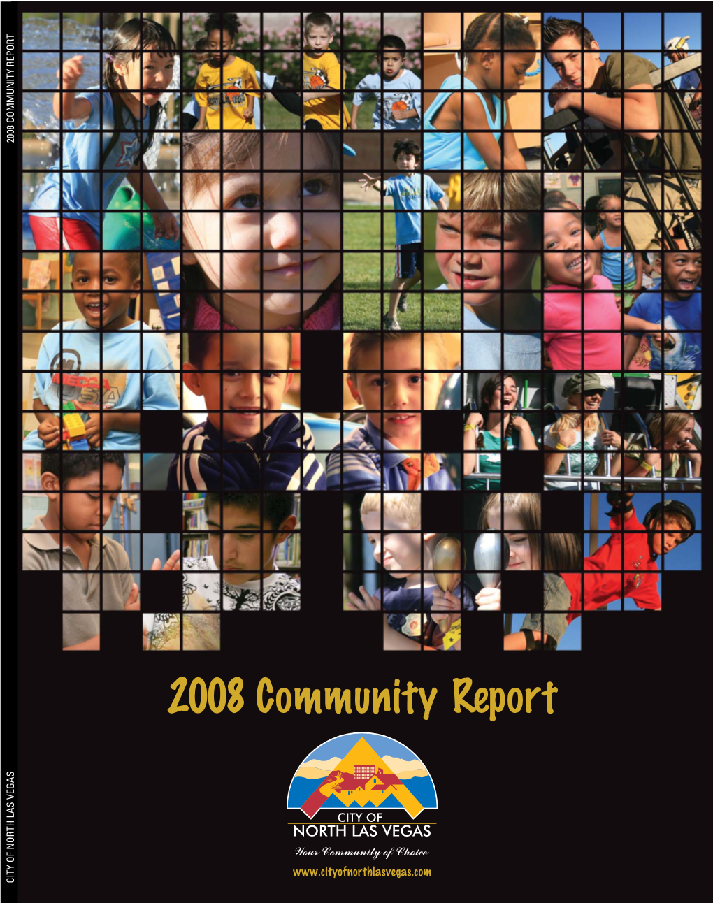 2008 Community Report