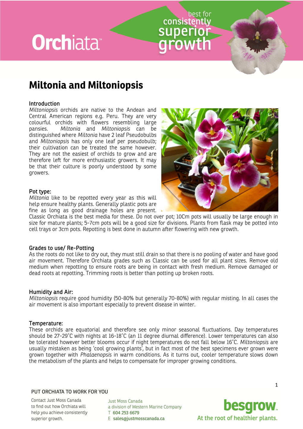 Miltonia and Miltoniopsis