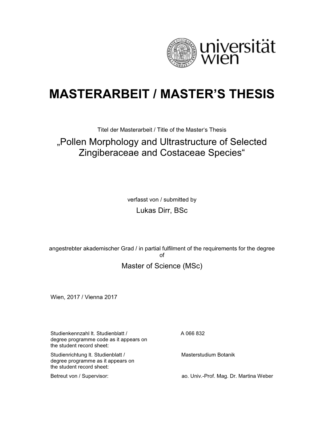 Masterarbeit / Master's Thesis