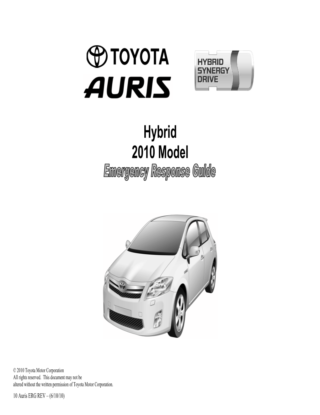 Hybrid 2010 Model