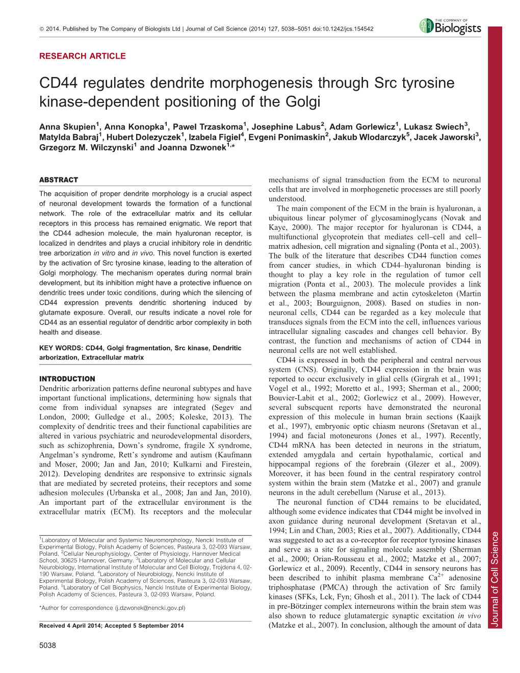 CD44 Regulates Dendrite Morphogenesis