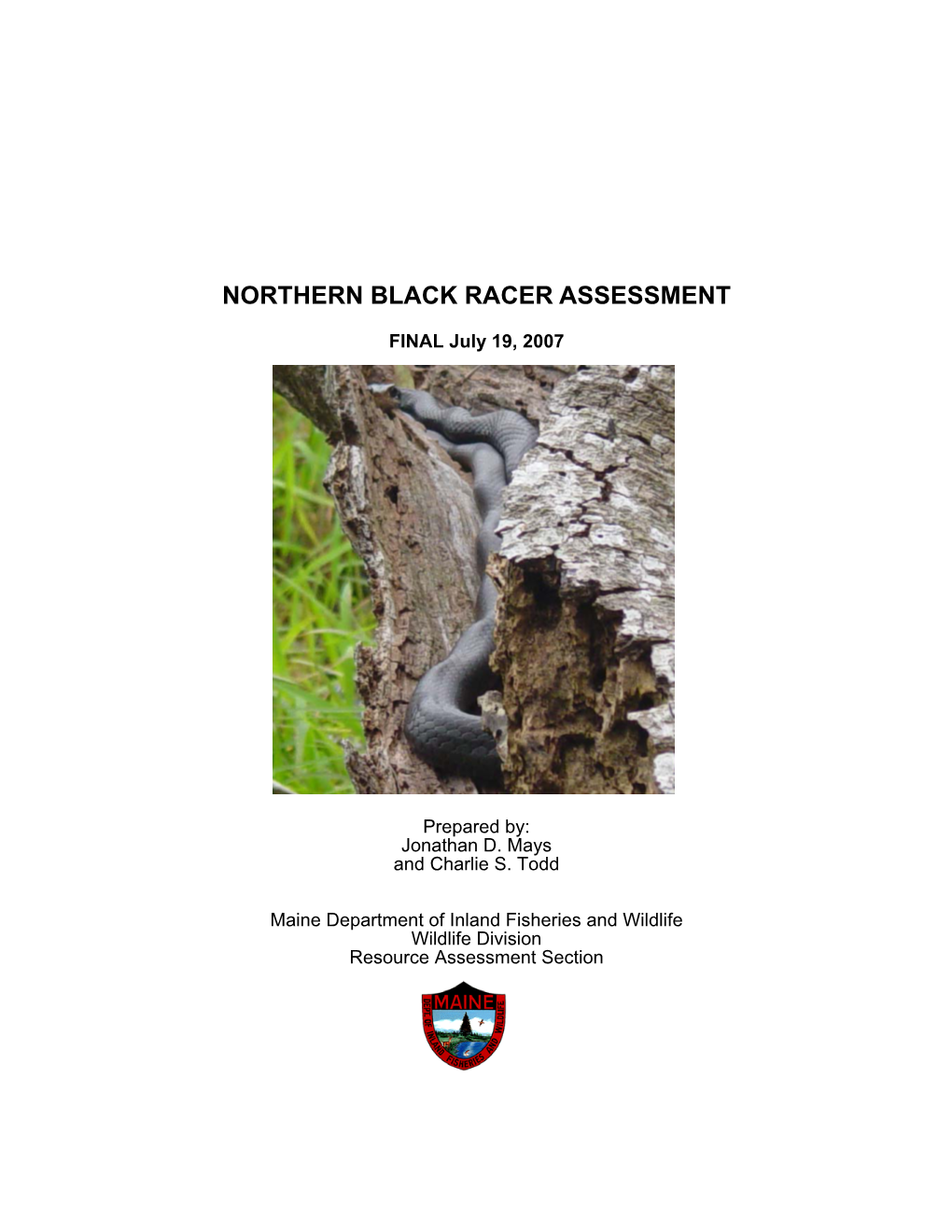 Northern Black Racer Species Assessment