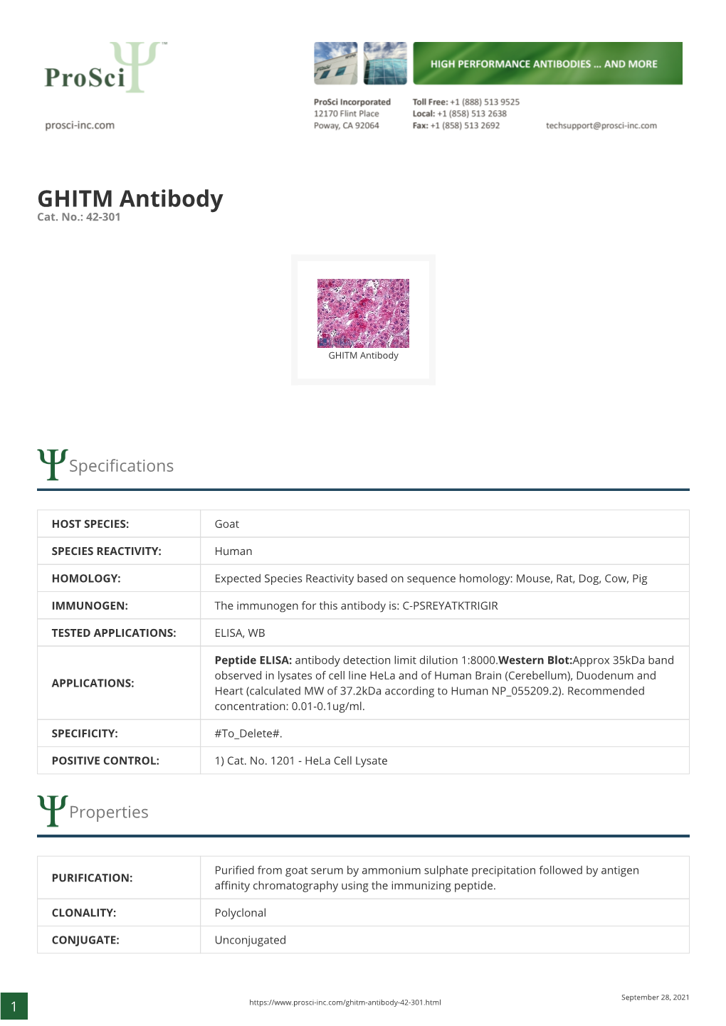 GHITM Antibody Cat