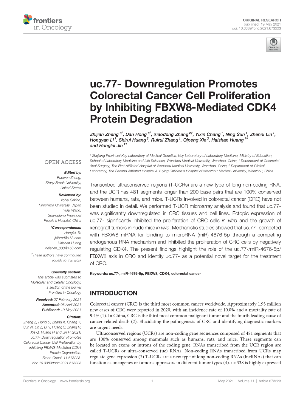 Uc.77- Downregulation Promotes Colorectal Cancer Cell Proliferation by Inhibiting FBXW8-Mediated CDK4 Protein Degradation