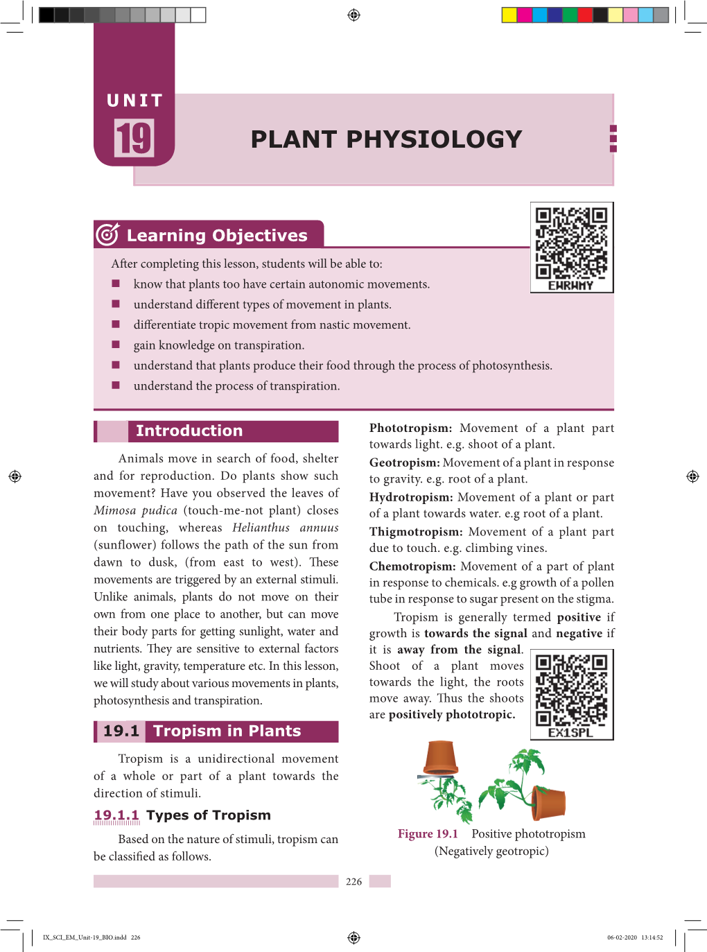 Plant Physiology