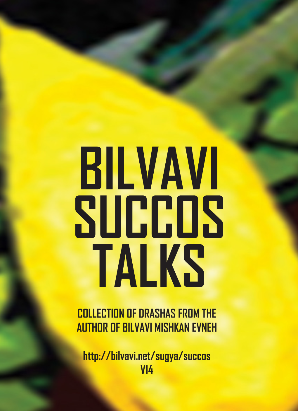 Bilvavi Succos Talks Collection of Drashas from the Author of Bilvavi Mishkan Evneh