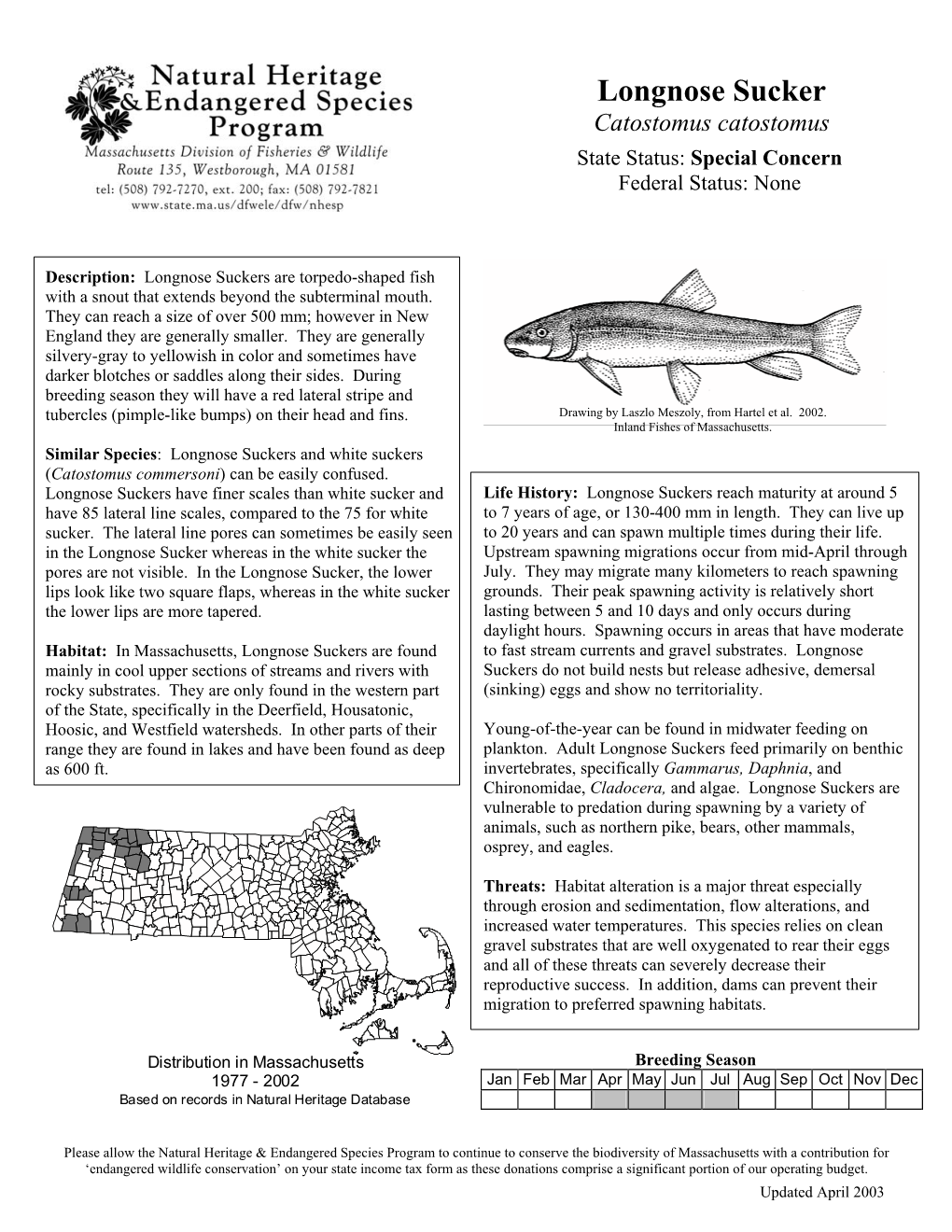 Longnose Sucker Catostomus Catostomus State Status: Special Concern Federal Status: None