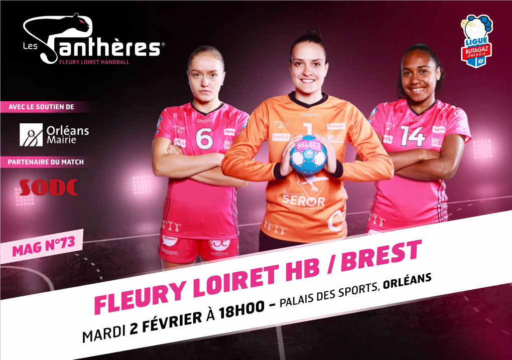 Fleury Loiret Hb / Brest
