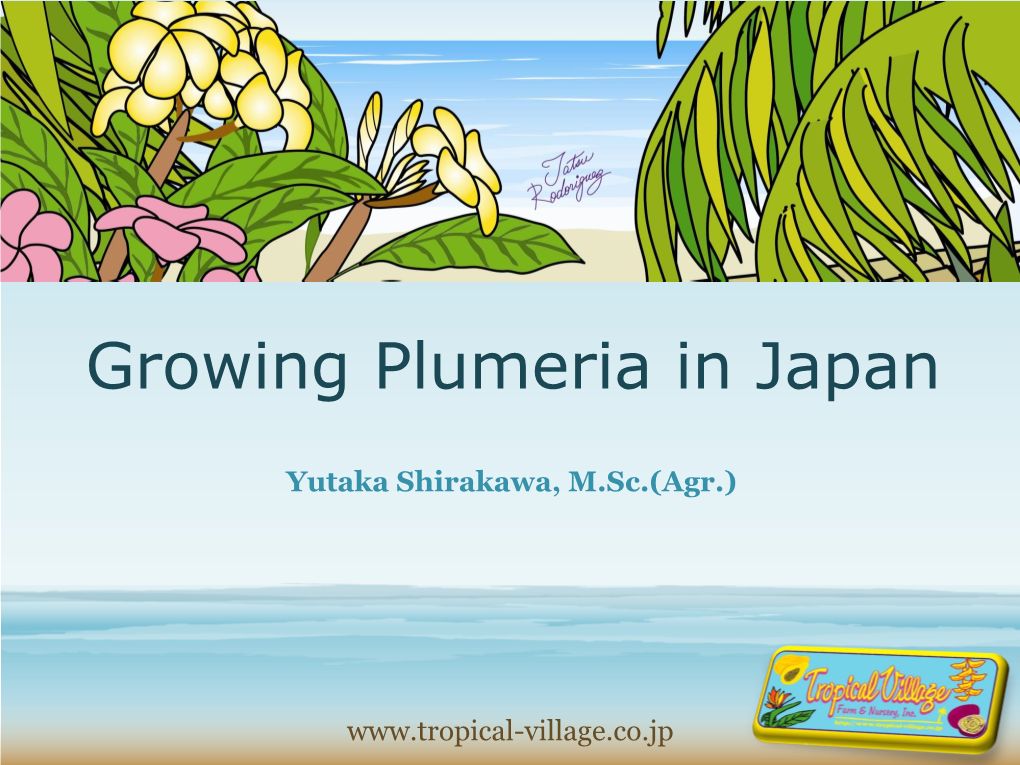 Growing Plumeria in Japan