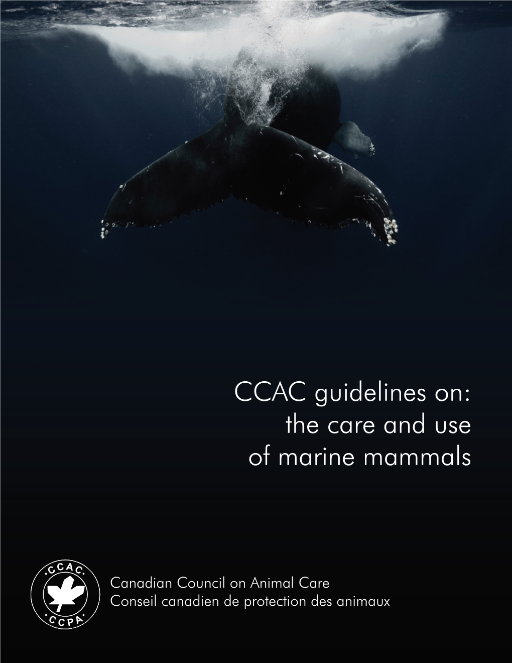 CCAC Guidelines On: the Care and Use of Marine Mammals