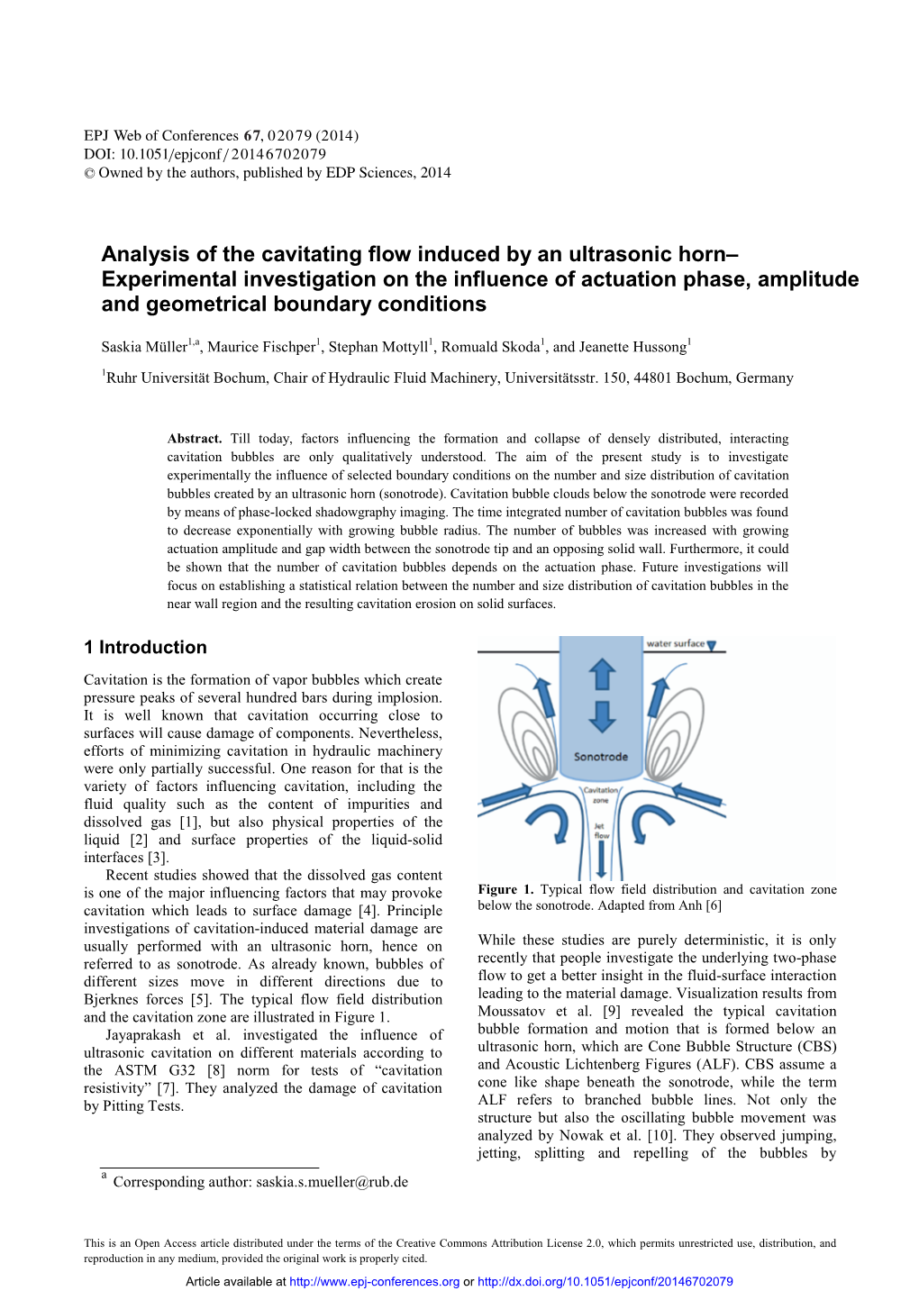 Analysis of the Cavitating Flow Induced by an Ultrasonic Horn