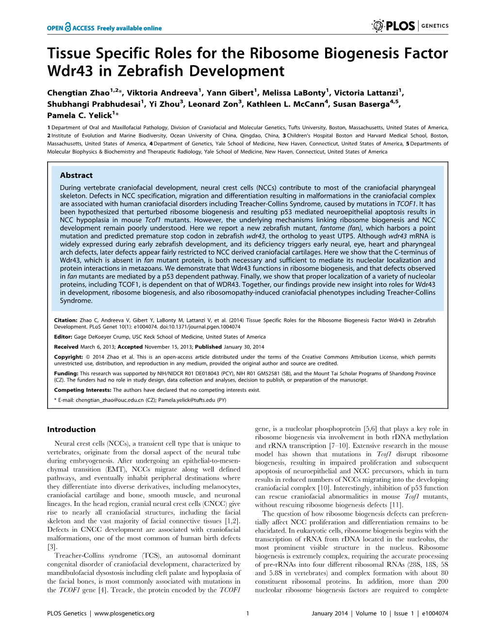 Tissue Specific Roles for the Ribosome Biogenesis Factor Wdr43 in Zebrafish Development