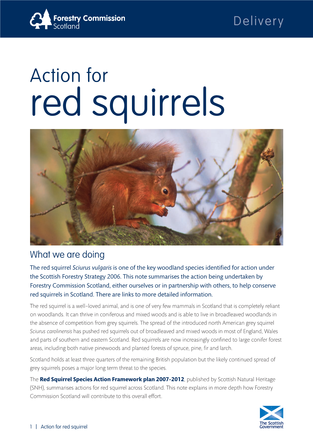 Action for Red Squirrels