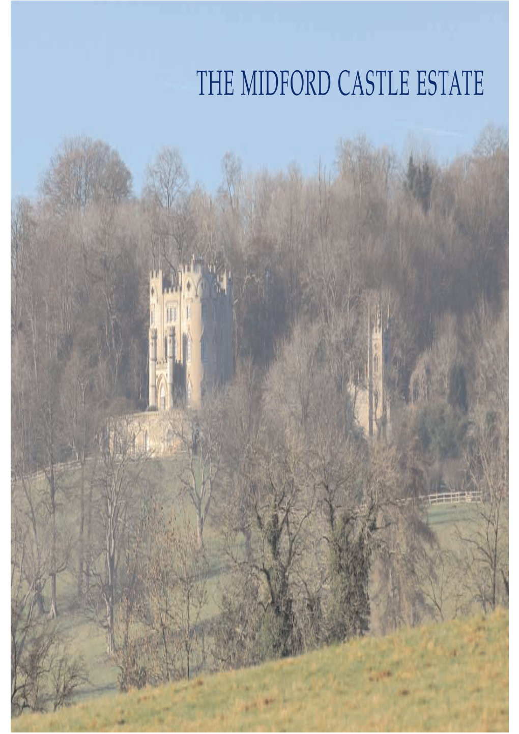 THE MIDFORD CASTLE ESTATE a View to the South from the Castle the MIDFORD CASTLE ESTATE