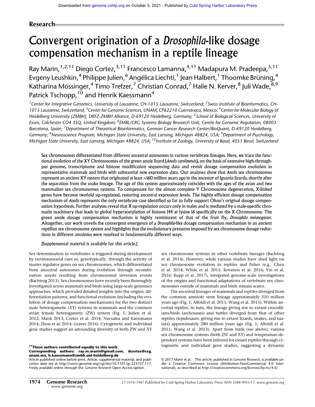 Convergent Origination of a Drosophila-Like Dosage Compensation Mechanism in a Reptile Lineage