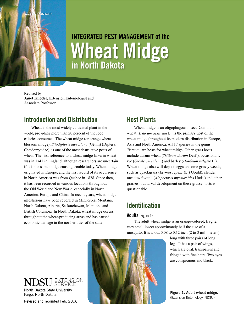 Integrated Pest Management of the Wheat Midge in North Dakota