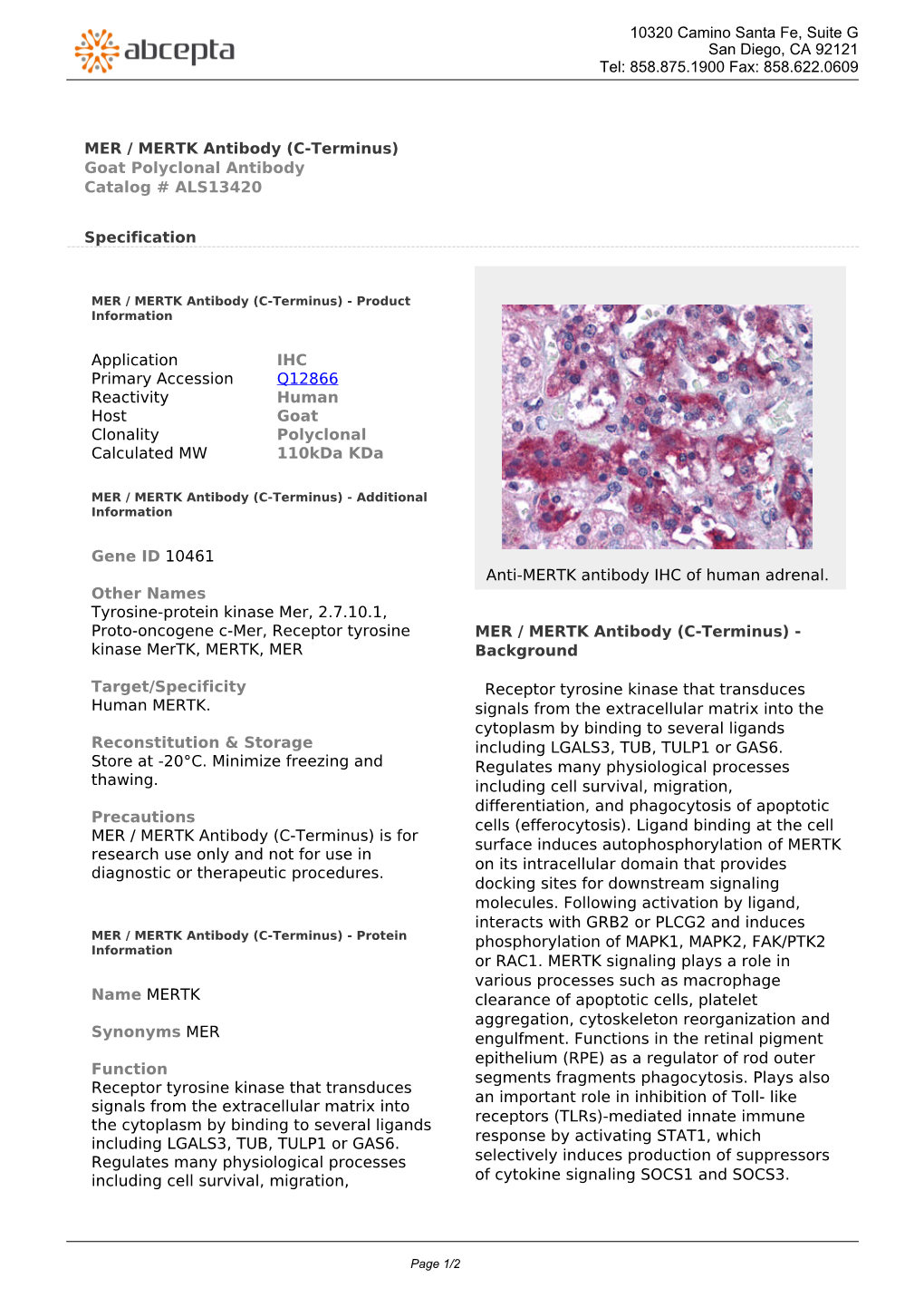 MER / MERTK Antibody (C-Terminus) Goat Polyclonal Antibody Catalog # ALS13420