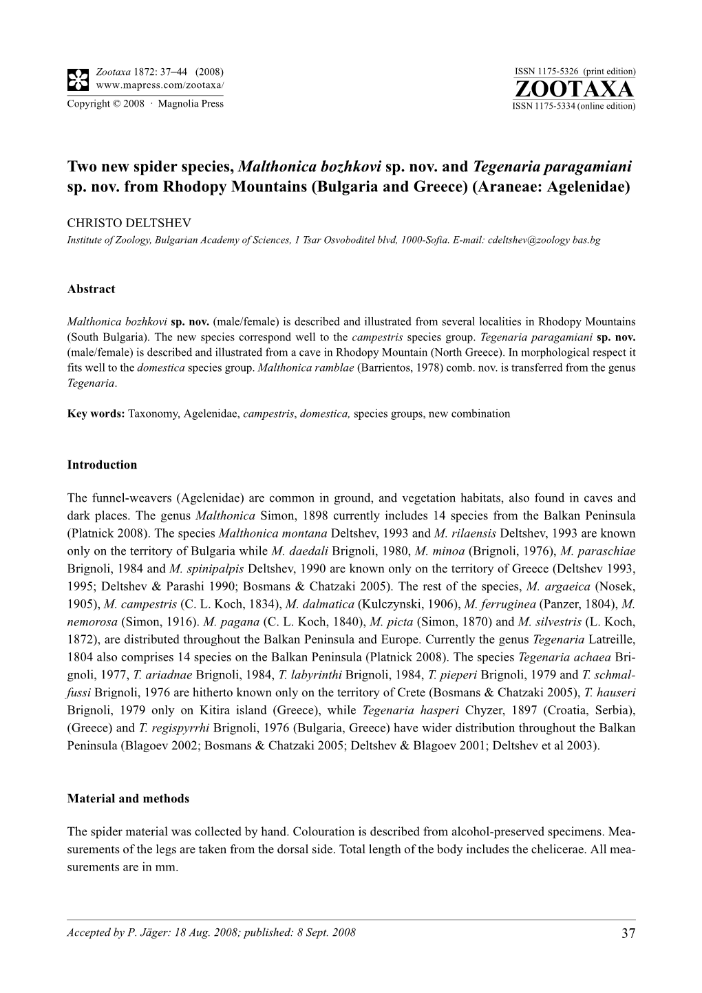 Zootaxa, Two New Spider Species, Malthonica