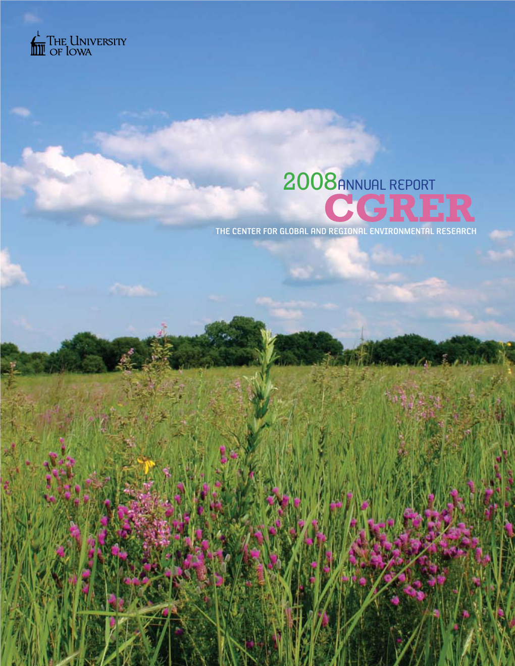 CGRER 2008 Annual Report