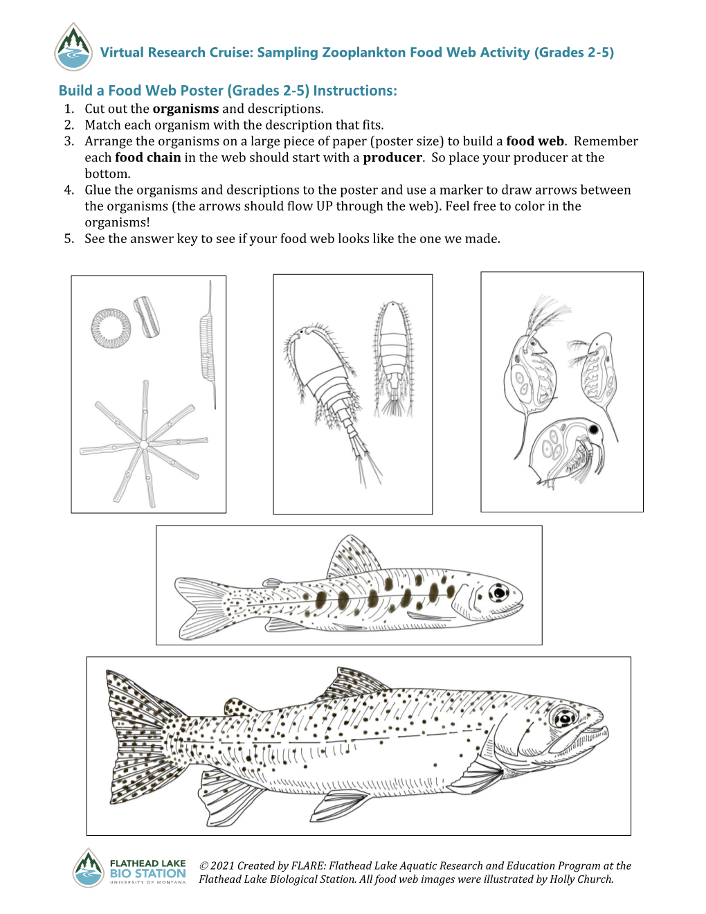 Food Web Activity (Grades 2-5)