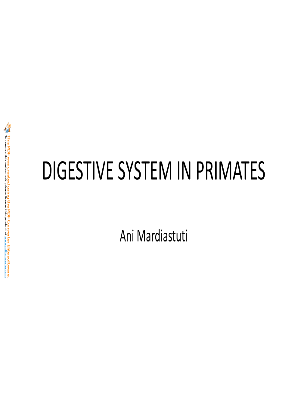 Digestive System in Primates