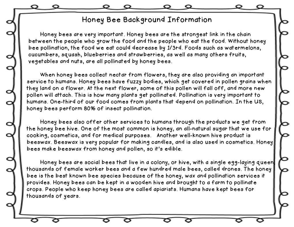 Honey Bee Background Information