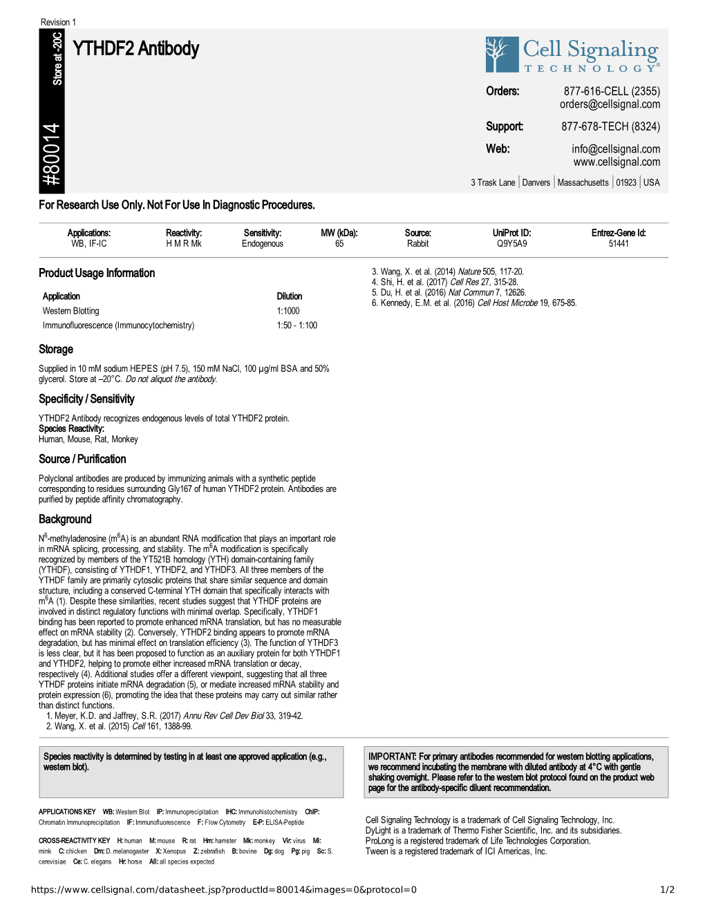 80014 YTHDF2 Antibody