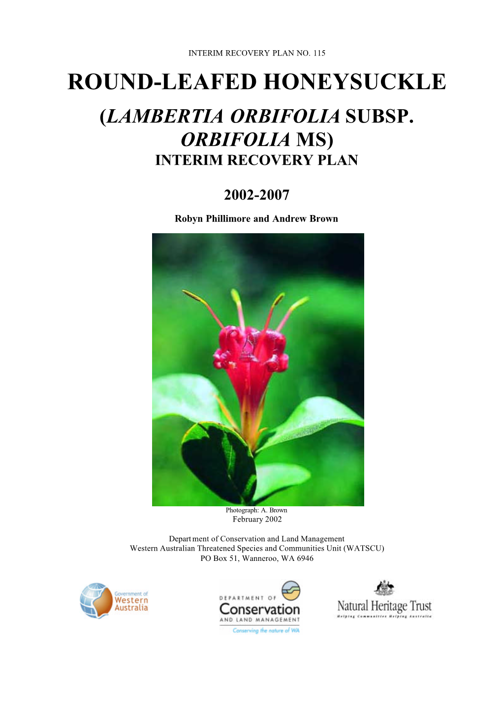 Lambertia Orbifolia Subsp. Orbifolia Ms) Interim Recovery Plan