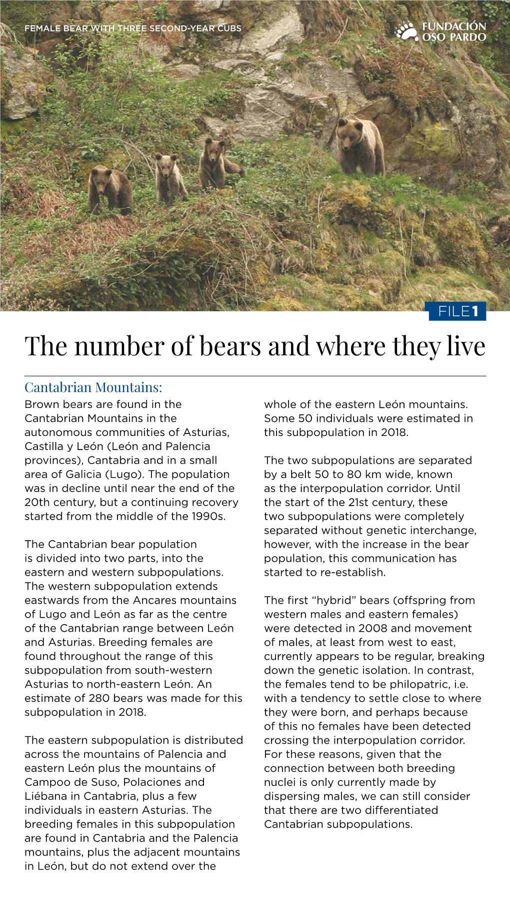 The Number of Bears and Where They Live