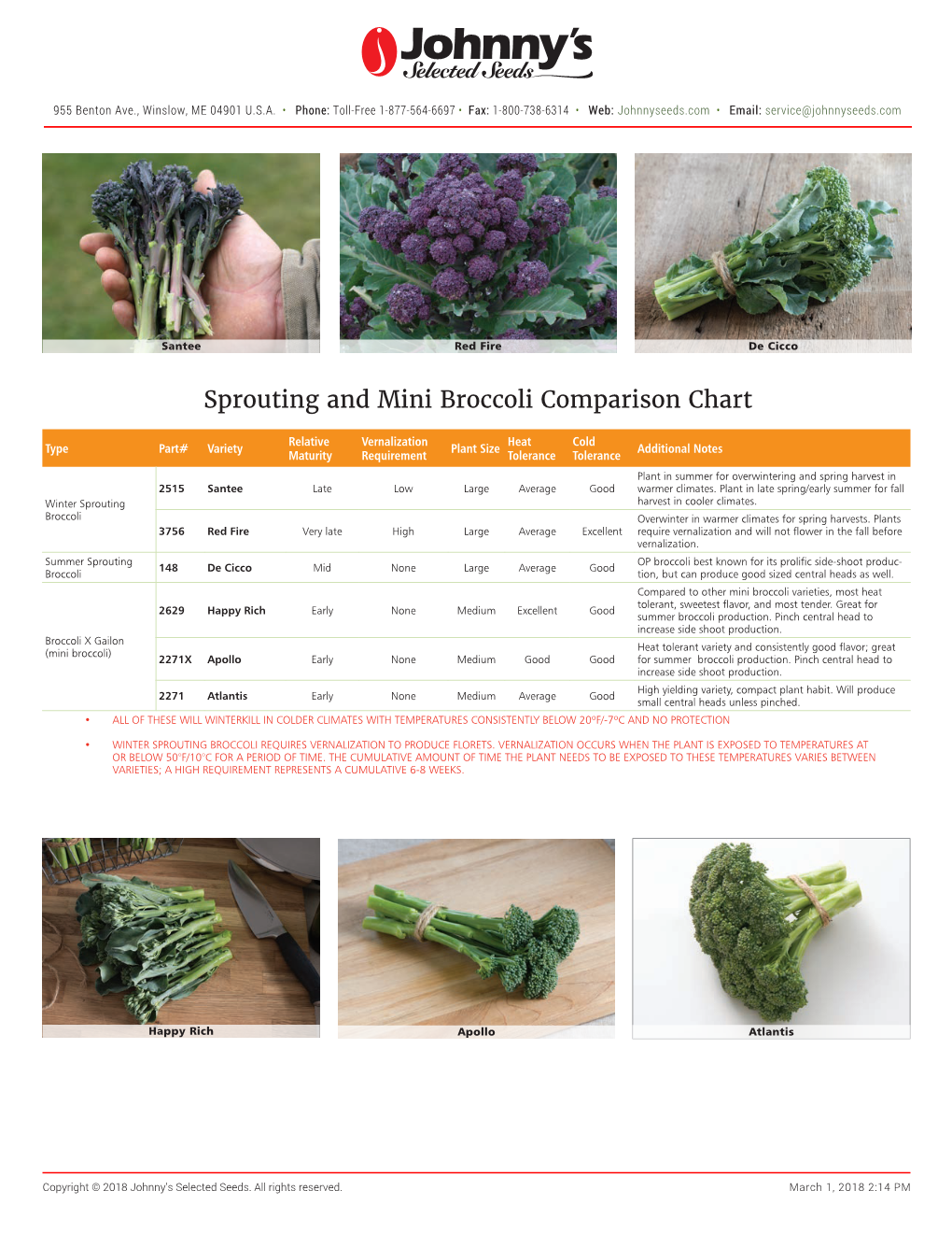 Sprouting and Mini Broccoli Comparison Chart