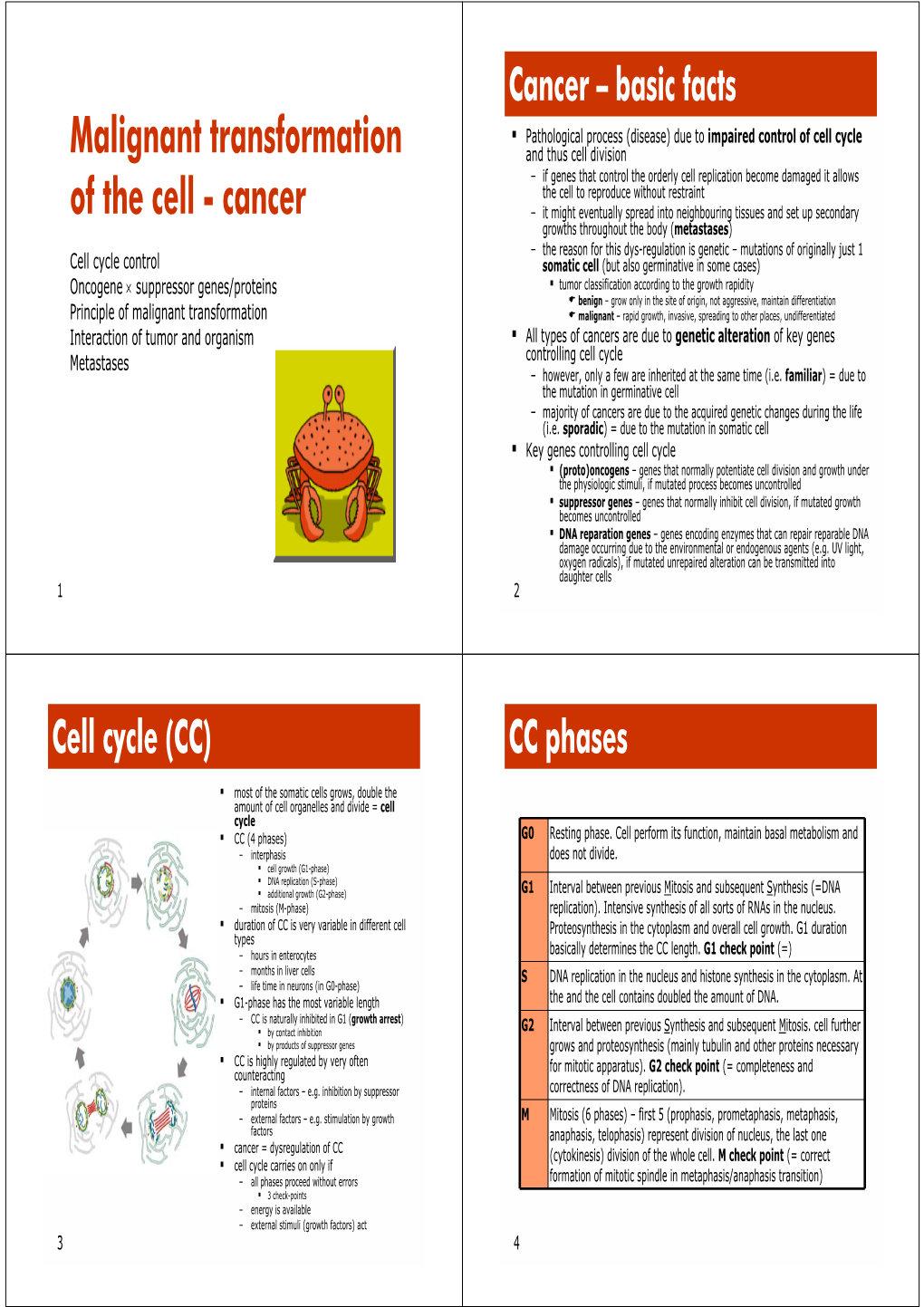 Malignant Transformation of the Cell