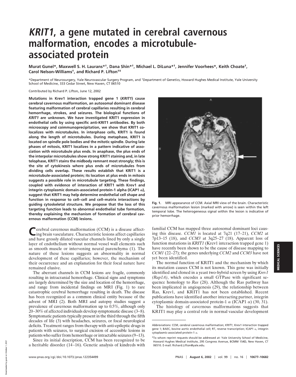 KRIT1, a Gene Mutated in Cerebral Cavernous Malformation, Encodes a Microtubule- Associated Protein