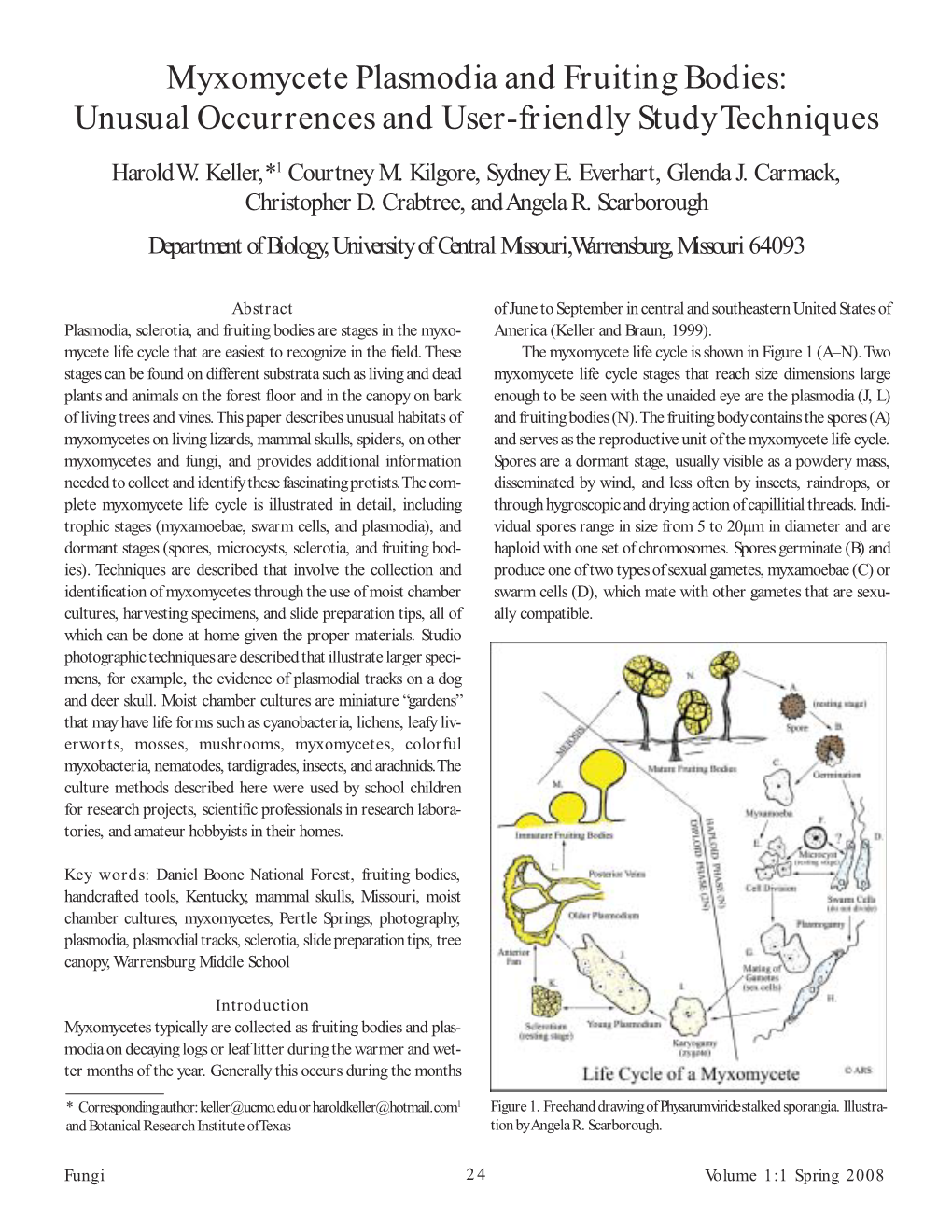 Myxomycete Plasmodia and Fruiting Bodies: Unusual Occurrences and User-Friendly Study Techniques Harold W