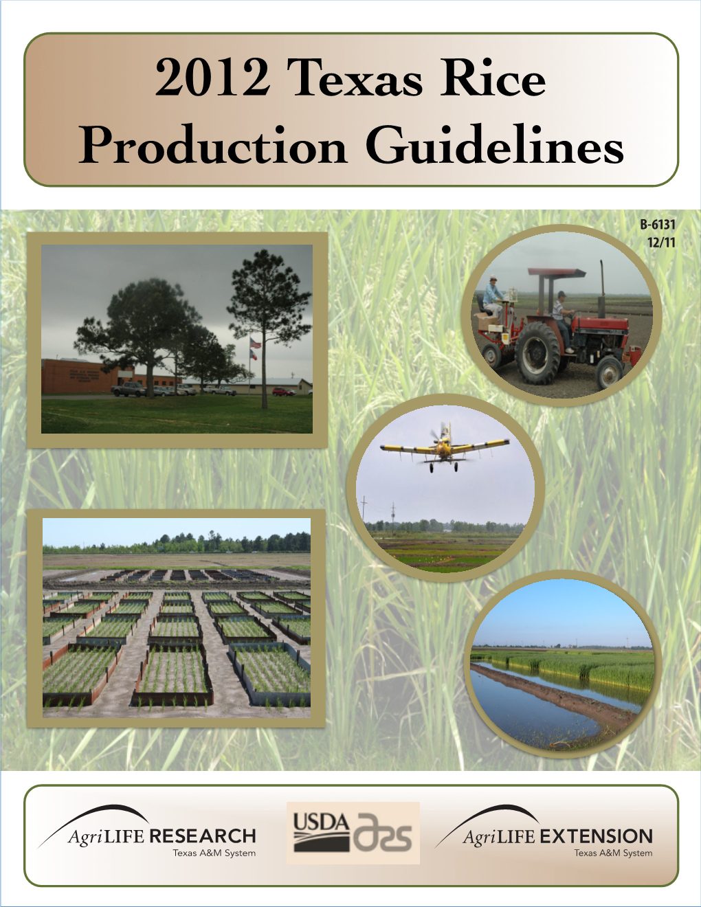 2012 Texas Rice Production Guidelines