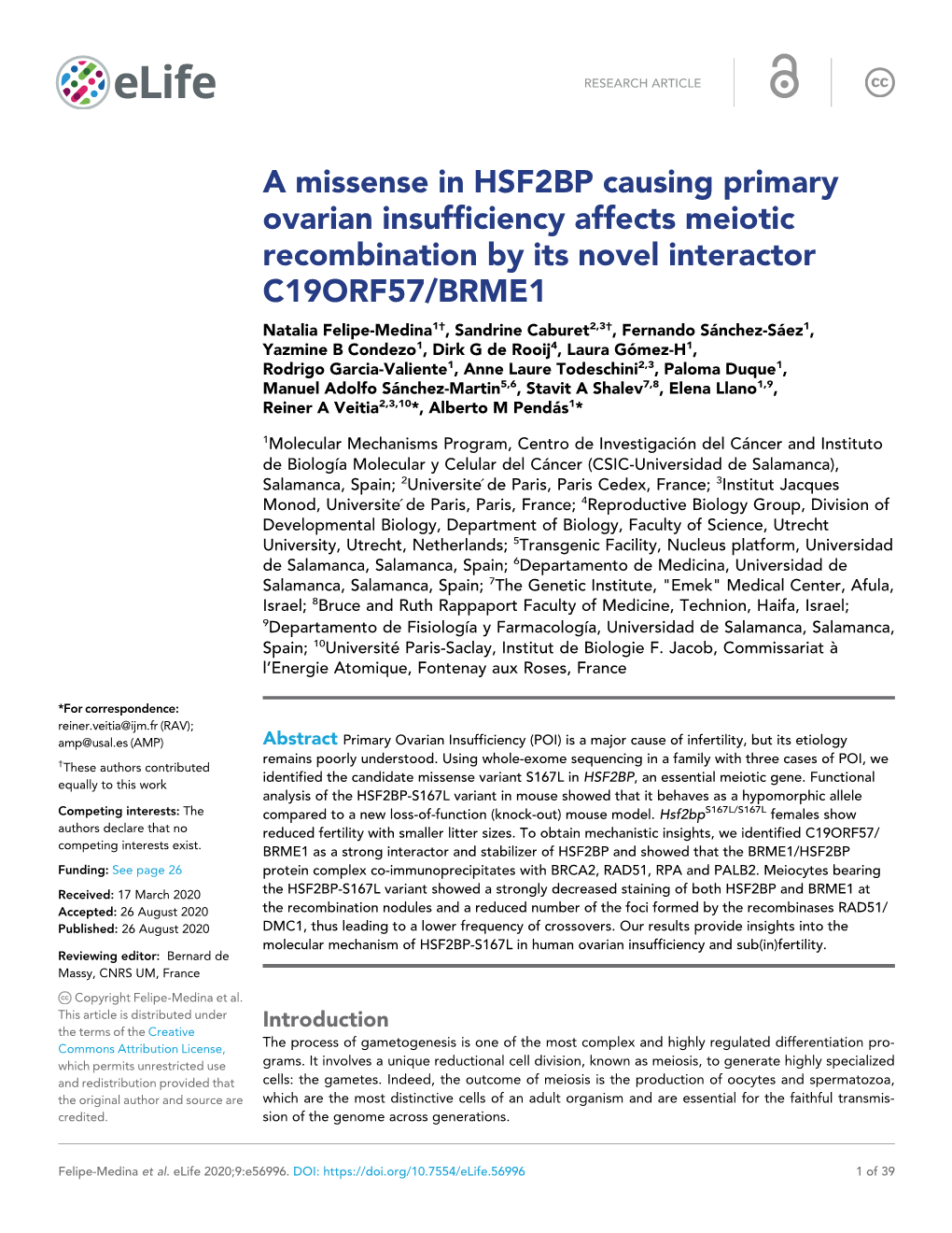 A Missense in HSF2BP Causing Primary Ovarian Insufficiency Affects