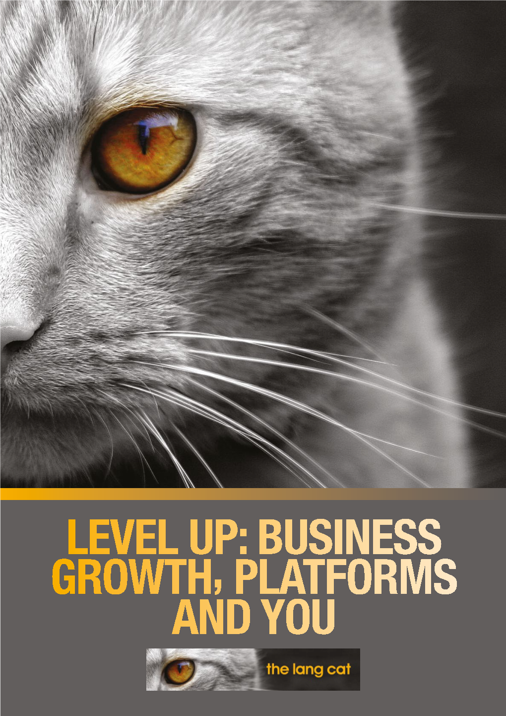 Business Growth, Platforms And