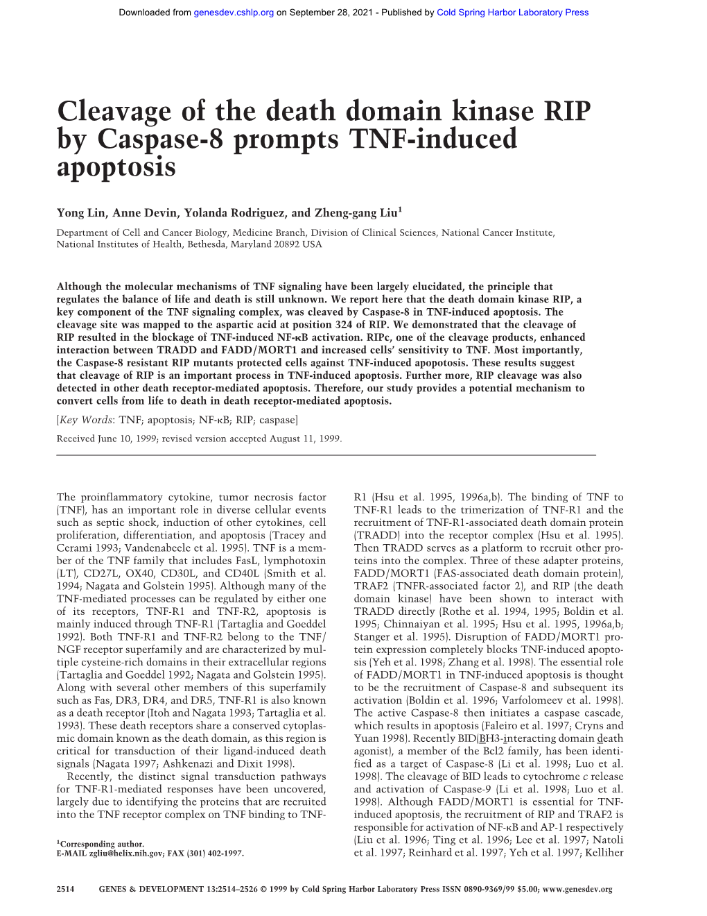 Cleavage of the Death Domain Kinase RIP by Caspase-8 Prompts TNF-Induced Apoptosis