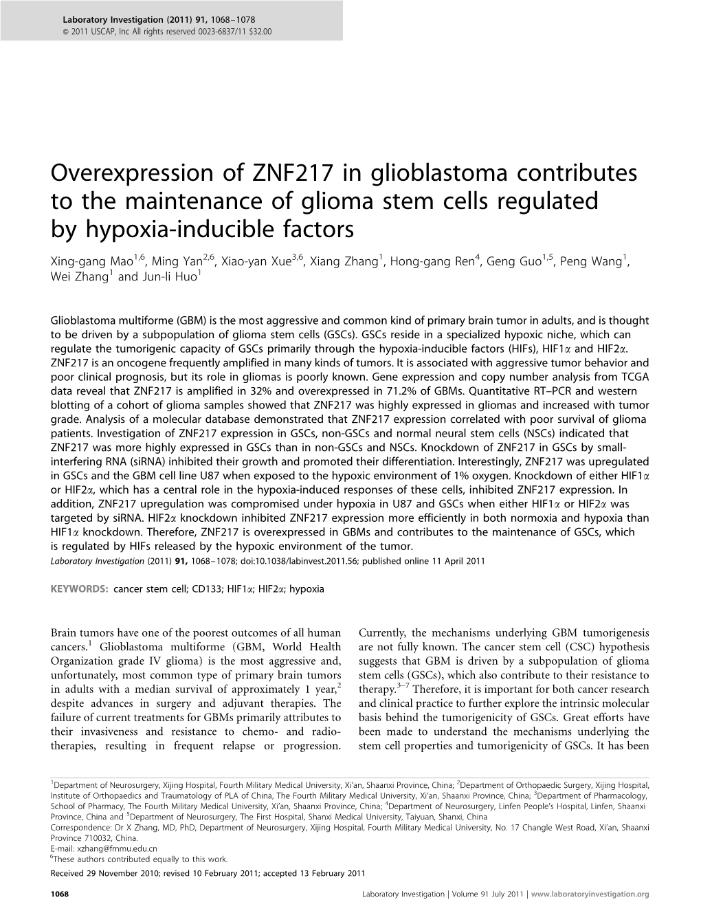Overexpression of ZNF217 in Glioblastoma Contributes to The