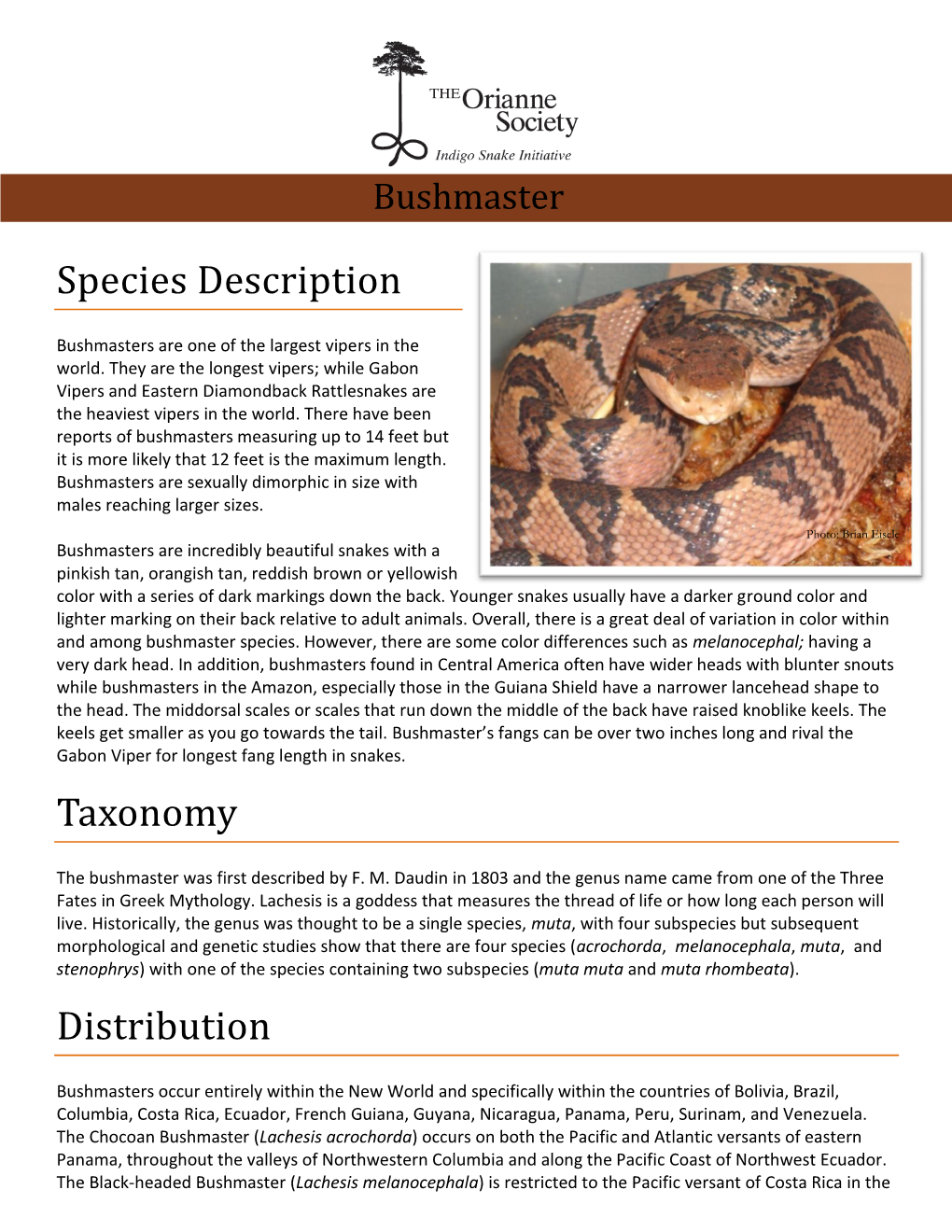 Species Description Taxonomy Distribution