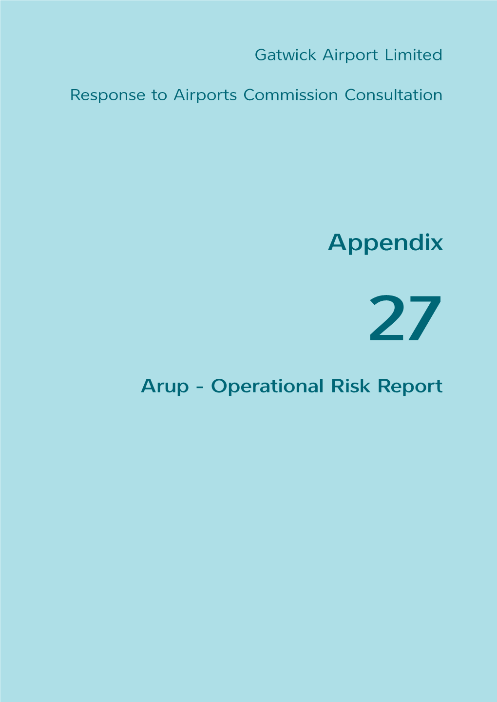 Arup - Operational Risk Report