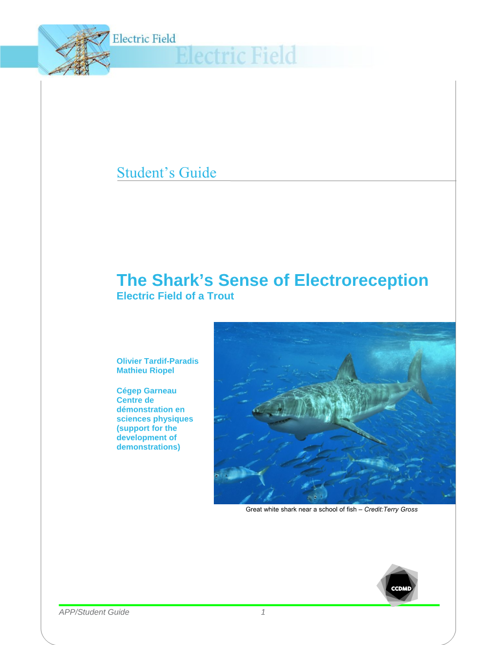 The Shark S Sense of Electroreception