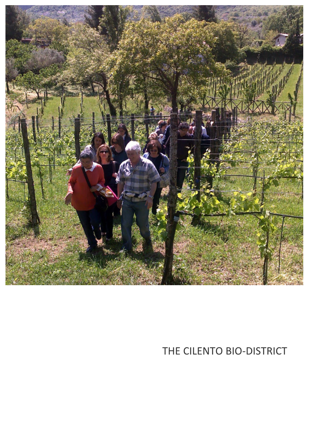 The Cilento Bio-District