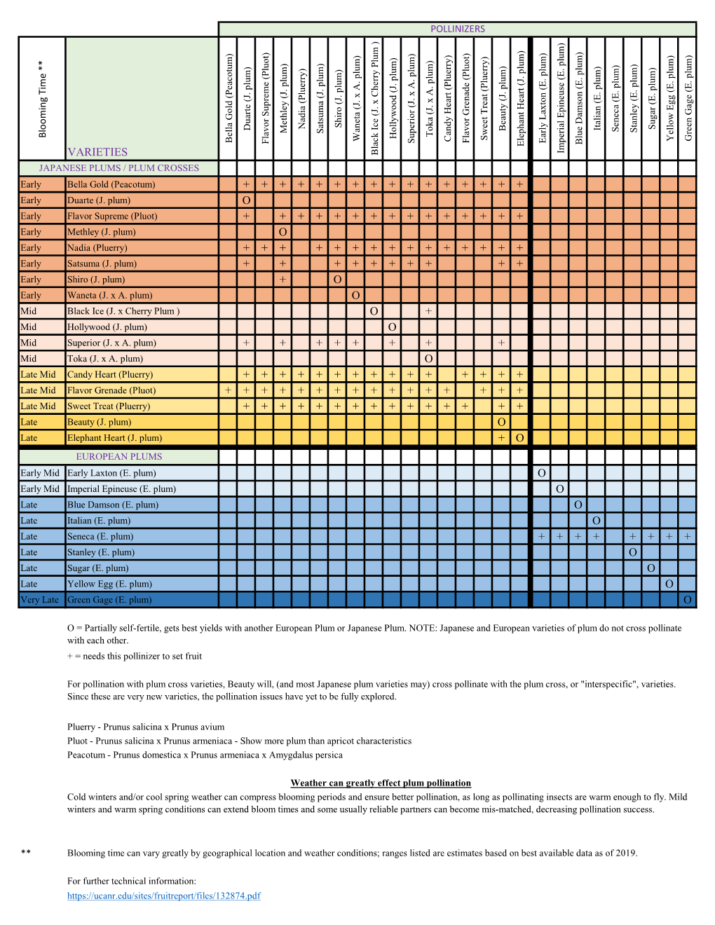 Plum Pollination Chart